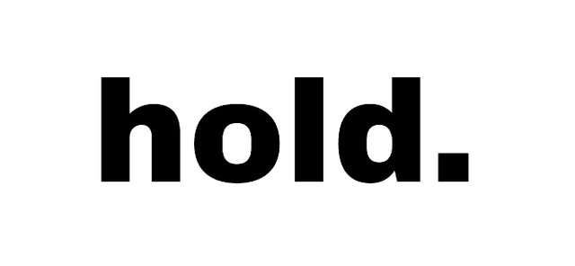 Hold fins logo